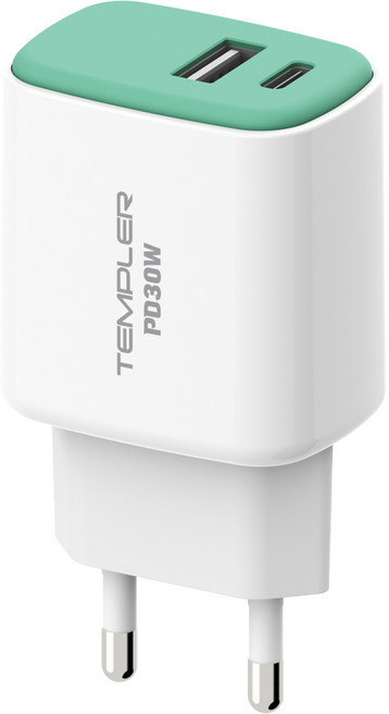템플러 30W 2포트 C타입 PD 초고속충전기, 1개, 민트