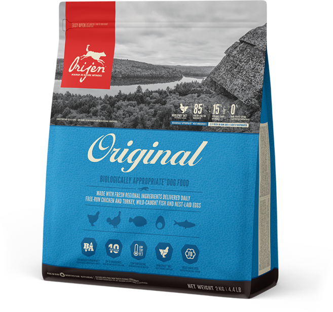 오리젠선진 오리젠 어덜트 오리지날 독 2kg+랜덤 간식, 2kg, 1개