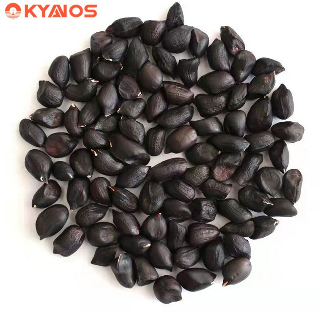 OKYAIOS 중국 윈난푸 셀레늄 블랙 땅콩, 1개, 5kg