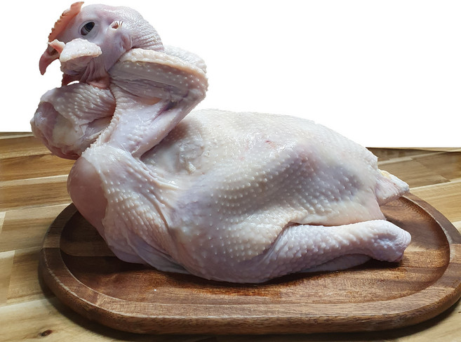 토종닭 제사닭 제수용닭 암닭 1.5kg내외 한약재무료제공, 1개