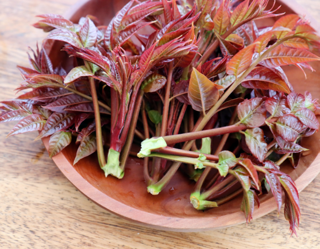 동네이장님만 알고먹던 가죽나물 갓수확 신선배송, 1세트, 1kg