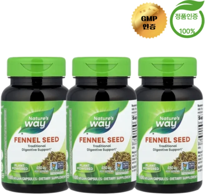 2+1 네이처스 웨이 펜넬 씨드 회향 씨 480mg 베지 캡슐 100정, 3개 - 쿠팡
