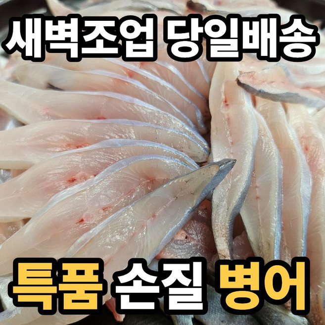 [새벽조업] 남해안 횟감용 손질 병어, 1세트, 500g