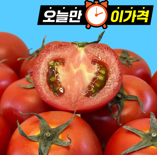 [오늘만할인] 100박스한정 고품질 완숙토마토 초특가할인, 1박스, 5kg