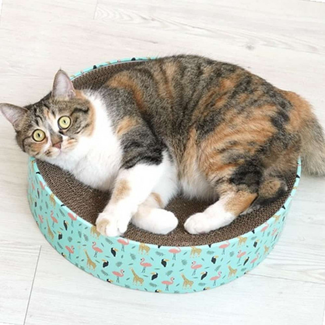 원형 스크래쳐 4종 캣스크래처