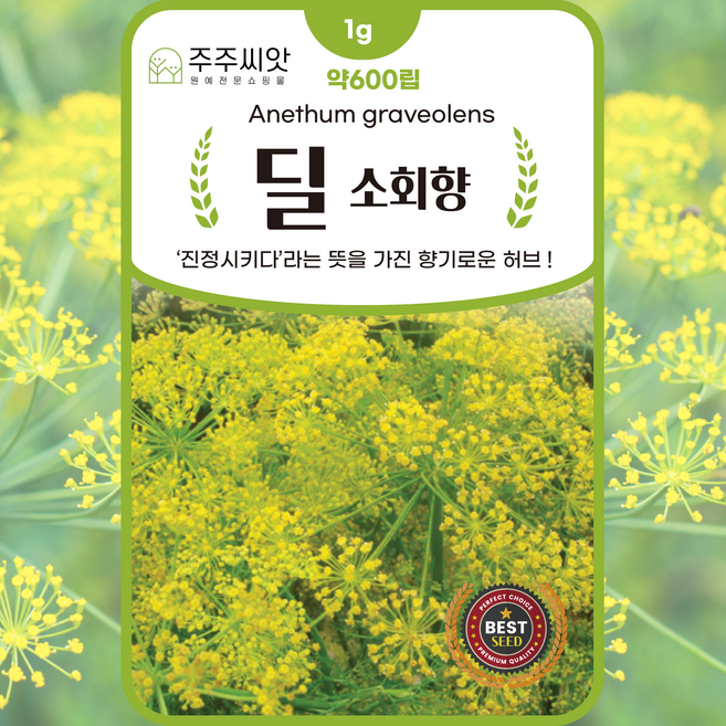 [주주씨앗] 딜 허브씨앗 100립 허브씨앗 허브씨 종자 소회향 딜씨, 1개