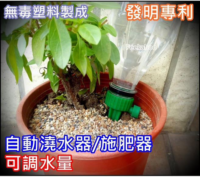 皮卡布 自動澆花器 可調水量, 1個, 6入(盒裝)