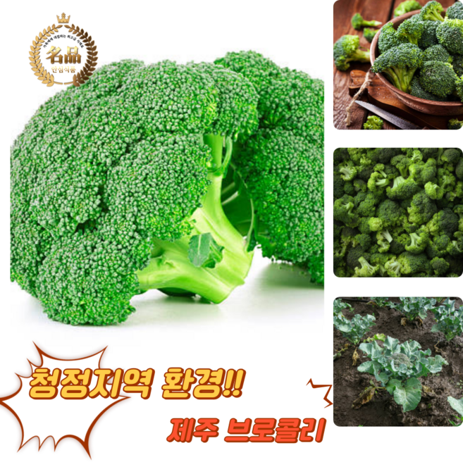 [굿피플] 브로콜리 국산브로컬리 broccoli 야채 브러컬리 브로컬리[브로콜리2-4개], 1박스, 1kg