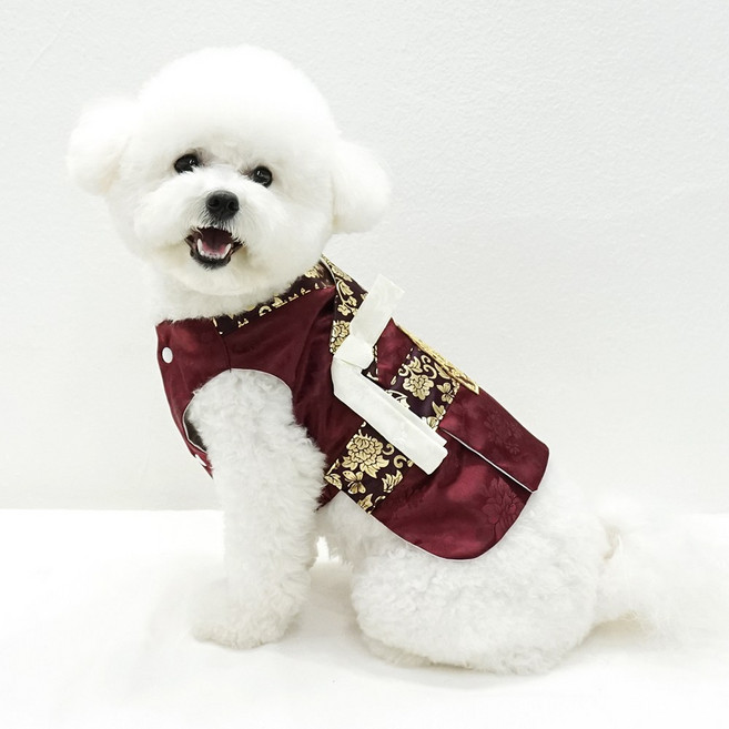 호나미네 강아지한복 고양이한복 화랑 왕자 한복, 자주, 1개