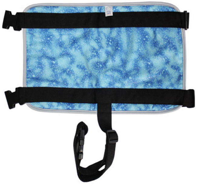 이화양행 휠체어 안전벨트 휠체어안전띠 휠체어보호대, 1개