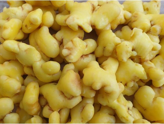 국내산 새척 깐생강 (특품) 3kg, 1개