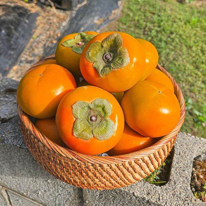 고당도 부유 단감 꿀 감, 1박스, 단감 5kg (대과/20~23입)