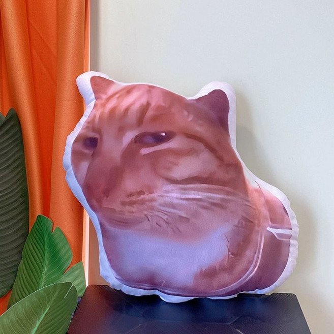 하우바이몰 고양이밈 베개 트랜드 인형 쿠션 밈, 고양이