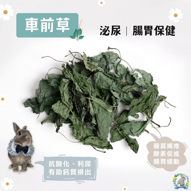 噗啾草坊 車前草 泌尿腸胃保健草, 1個, 車前草 泌尿｜腸胃保健,原裝 (克數請參考商品敘述)