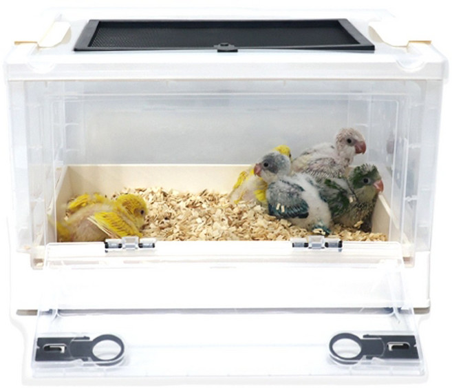 앵무새 소동물 이유식 새장 만능 육추기, 1개, 랜덤
