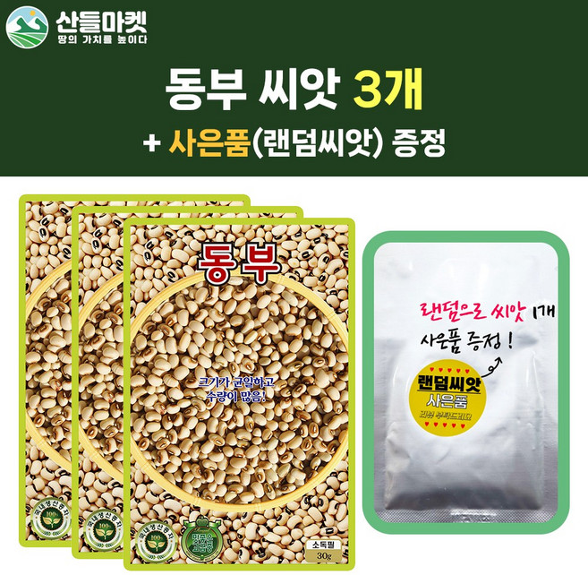KS 동부 콩씨앗 30g 덩굴성 국내산 콩씨 3개+랜덤 씨앗 1개 증정, 1세트