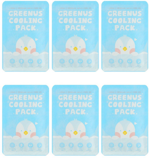 그린어스 쿨링 냉찜질팩 소형 사이즈 10X15 병원용 아이스팩 쿨팩 얼음마시지 국내생산, 6개