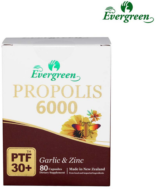 에버그린 뉴질랜드 에버그린 고함량 프로폴리스 6000mg 80 캡슐 분말 플라보노이드 PROPOLIS 가루 100% au0412-16, 단품, 1개, 80정