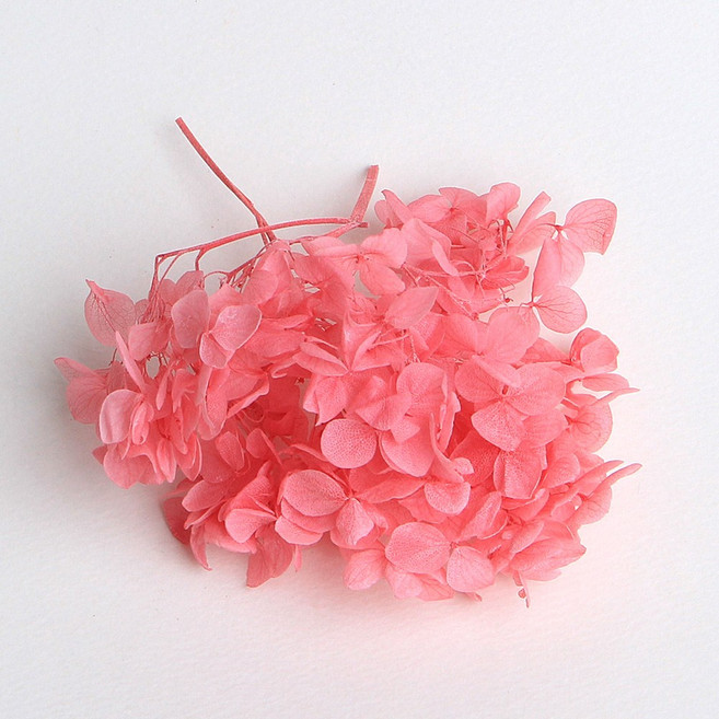 화연양화 프리저브드플라워 수국 1g 30색, 04 피치핑크