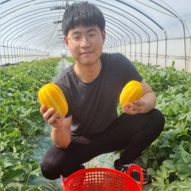 성주 꿀 참외 당일수확 가을 겨울 연중수확, 1박스, 성주참외 가정용 중소과2kg