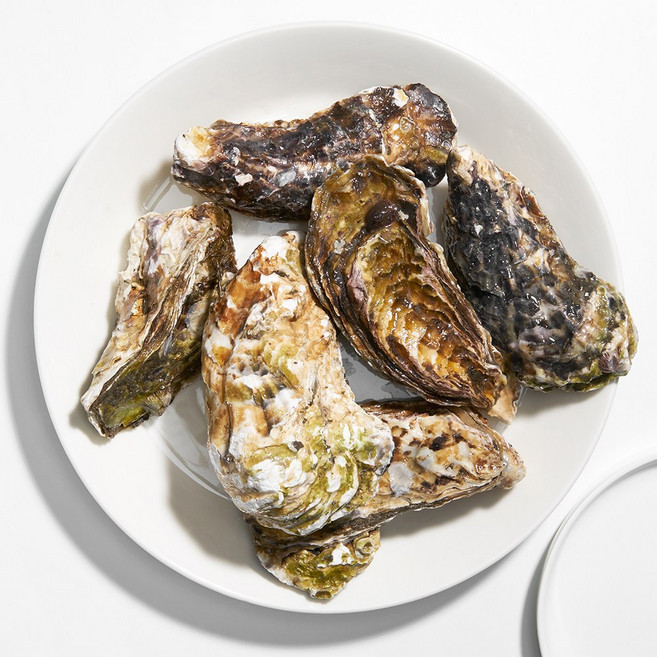 삼삼해물 거제도 프리미엄 개체굴 삼배체 생굴 석화 1kg, 1개