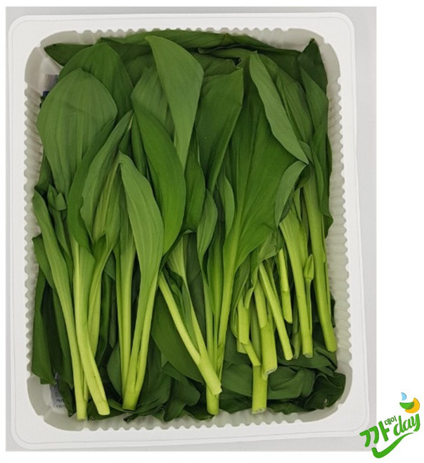 정선 해발 1 000m 고산지에서 손으로 따낸 잎명이나물, 400g, 1박스