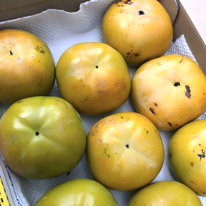 [알뜰득템] 아삭아삭 달콤찐득 태추단감 상서 부유단감 가정용, 1박스, 2kg (소과)