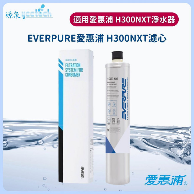 EVERPURE 愛惠浦 H300NXT 濾心 原廠公司貨, 1個