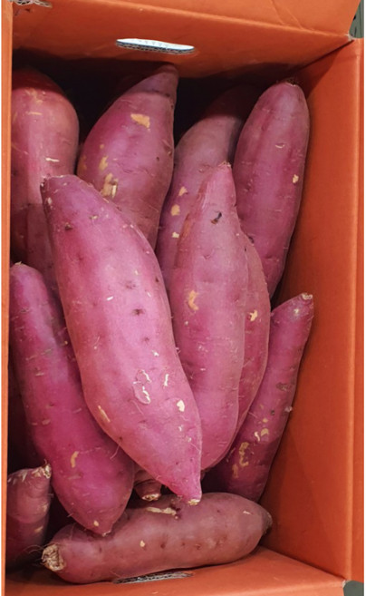 국내산 전라도 꿀밤고구마 긴특/긴대왕 최상품 5kg 10kg 알뜰농장, 1박스, 꿀고구마긴대왕10kg