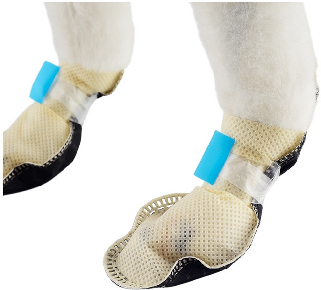 나트리스 강아지 일회용 산책 매직테이프형 신발 80p, 아이보리, 1개