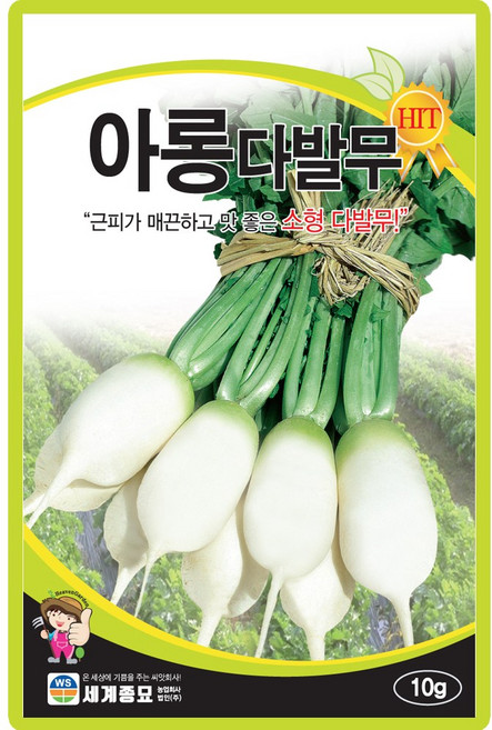 세계종묘 산들마켓 아롱다발무 씨앗 10g 다발 소형무씨 종자, 1개