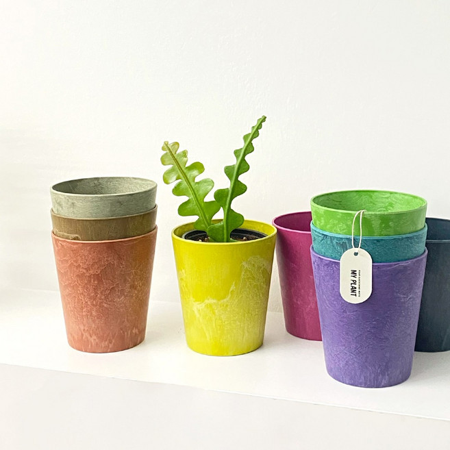 마이플랜트 그로워클레어 플라스틱 저면관수 인테리어 화분, 테라, 유