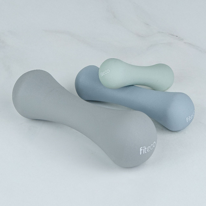 피테코 플로우 덤벨 네오프렌 논슬립 아령, 2개, 0.5kg