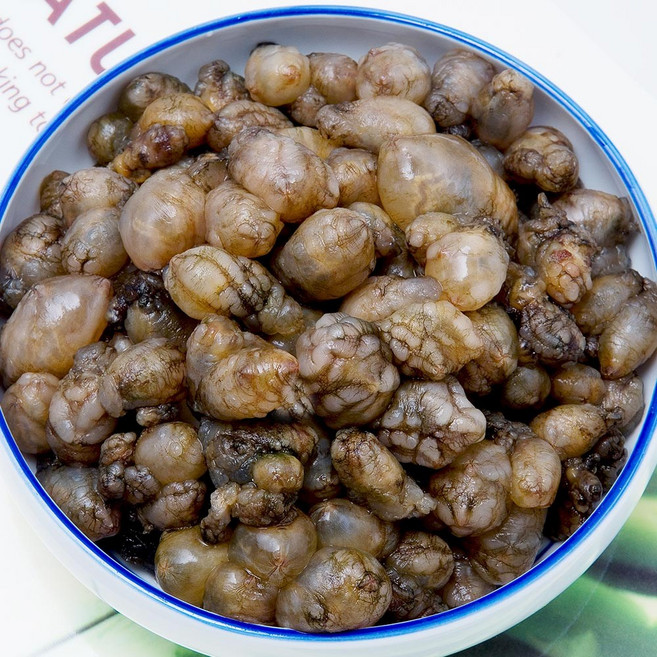 국내산 경남 고성 제철 활 오만둥이 3kg, 1개