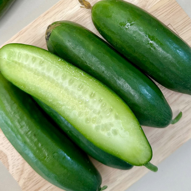 최고급특수농법 국내산100% 명품 미니오이, 1개, 옵션1-미니오이 500g