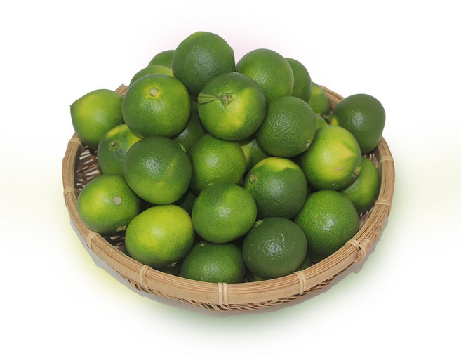 햇 제주 청귤(풋귤) 10kg 5kg 세척 생과 냉동 슬라이스 3kg 5kg 10kg 농장직송 일반/무농약, 1박스, 무농약 청귤 슬라이스(냉동) 3kg