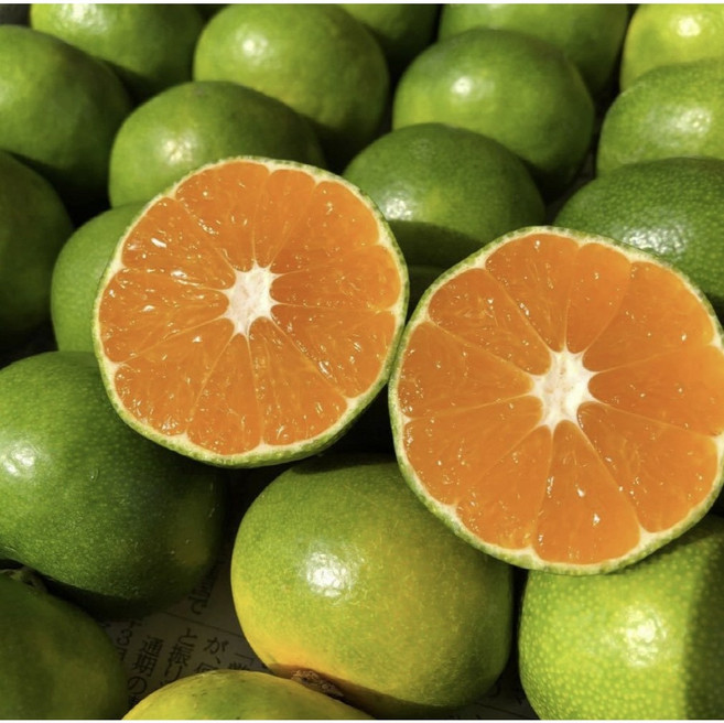 제주직송 상큼비타민 새콤달콤 제주청귤 제철풋귤, 1개, 3kg (실중량 2.5kg)