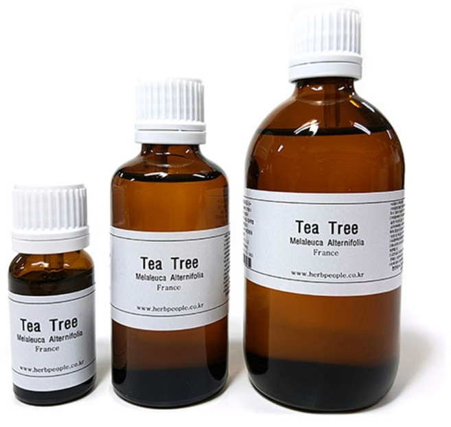 허브인 천연 아로마오일 에센셜오일 모음, 티트리 E.O 100ml, 1개