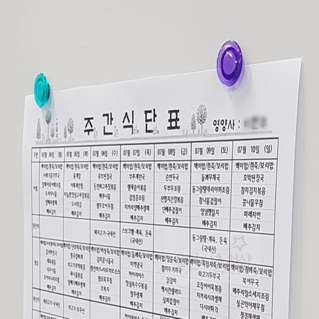 울언니추천샵 컬러 원형 냉장고 메모판 자석, 컬러원형 대 8P (4cm)