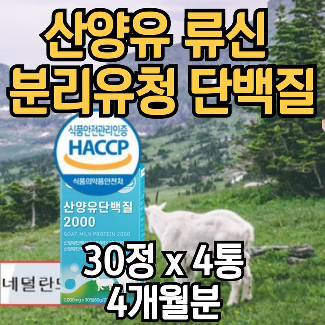 네덜란드 산양유 류신 분리 유청 wpi 밀크 칼슘 단백질 보충제 츄어블 정 시니어 여성 추천 씹어먹는 프로틴, 2개, 120g