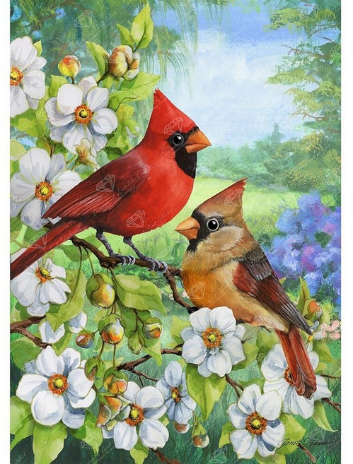 DIAMOND ART CLUB Bird of Joy 다이아몬드 페인팅 키트 성인용 재미있는 DIY 공예 라운드 아트 캔버스 22.8 x 33.8cm 9 13.5인치 13 189, Cardinal Couple.