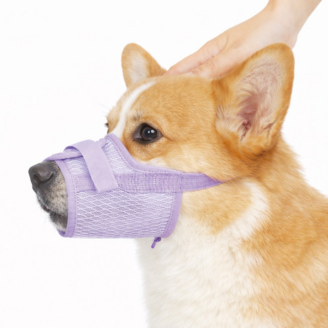 렛츠독 강아지 벨크로 경량 메쉬 입마개 산책용 훈련용 마스크 L, 메쉬퍼플, 1개