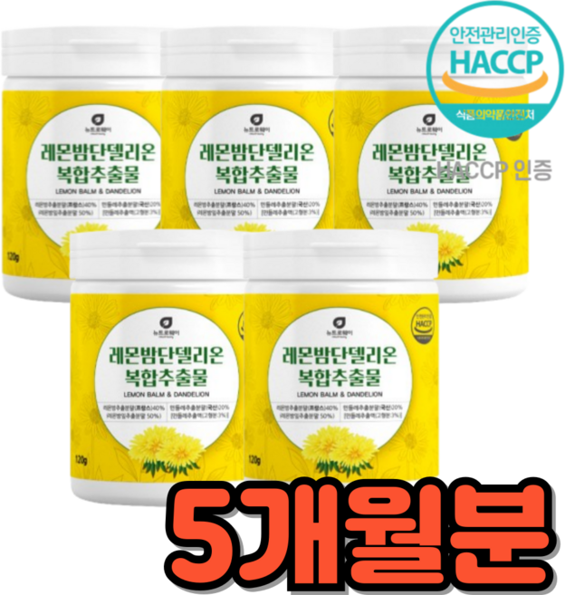 프랑스 민들레 레몬밤 단델리온 가루, 5박스