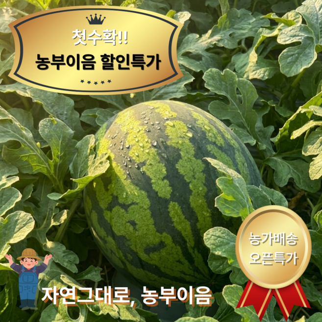 [오픈특가]하루100개한정 초고당도 꿀수박 하우스수박 농부이음 당일배송 할인이벤트 농장직영, 1개, 6kg