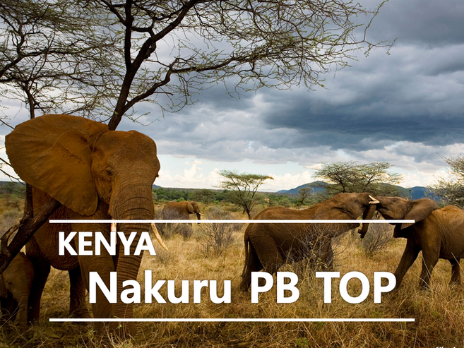 [커피생두] 케냐 나쿠루 피베리 탑-1kg [케냐 생두], 1kg, 1개