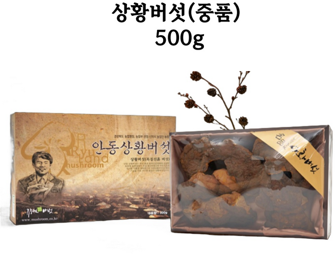 류충현 상황버섯 500g (중품) 국내산 무농약 원목재배 버섯균사체 효능, 1개