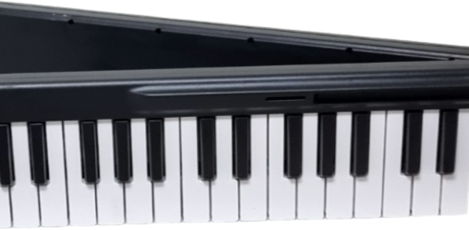 eleo피아노전문 접이식피아노 입문용 휴대용 연습용 88건반 무선 디지털 피아노 키보드 심플리피아노 가라지밴드 블루투스 미디 호환, 블랙, 1개