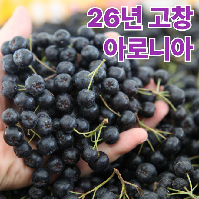 3위 - [단하루특가] 국산 아로니아 생과, 1박스, 특품_1kg 줄기제거