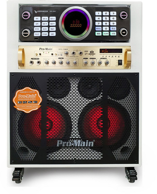 프로메인 미니 이동식 노래방 세트 가정용 업소용 반주기 금영 KMS-S800 무선마이크 8인치 스피커(최신곡 포함)