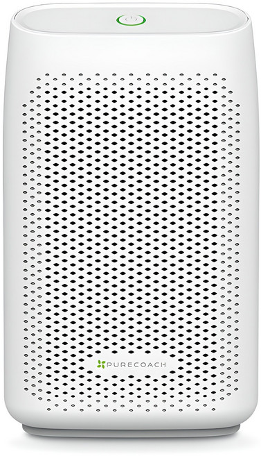 퓨어코치 원룸형 펠티어 제습기 300ml, DH750-250D